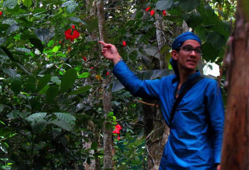 Bed and Breakfast Monsoon Retreats 8