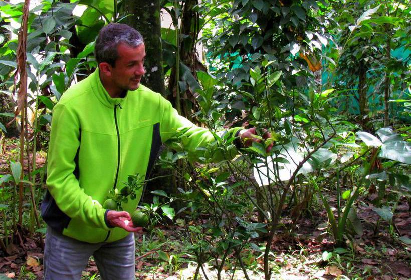 Bed and Breakfast Monsoon Retreats 9