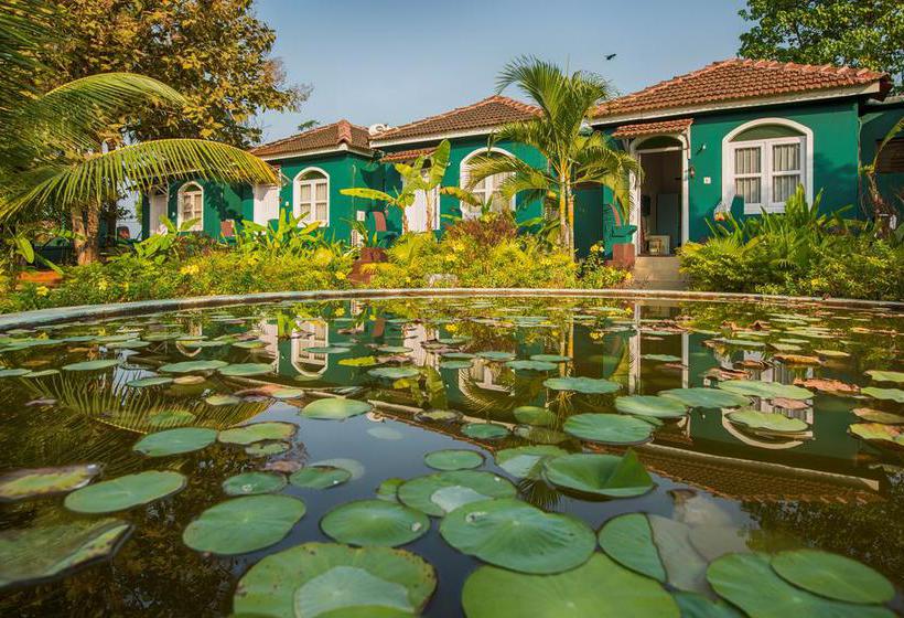 Aquatica Resorts & Spa