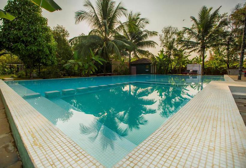 Aquatica Resorts & Spa 10