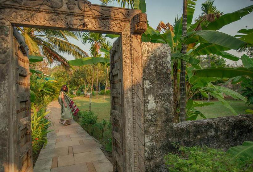 Aquatica Resorts & Spa 12