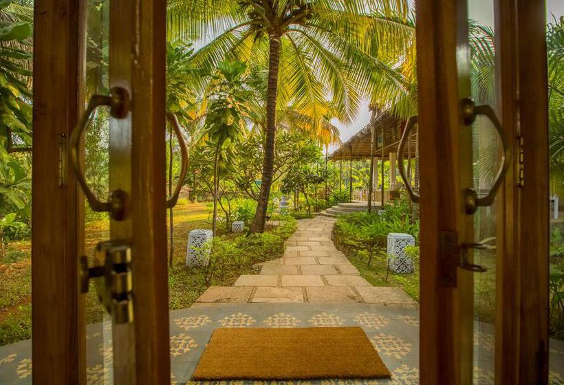 Aquatica Resorts & Spa 13