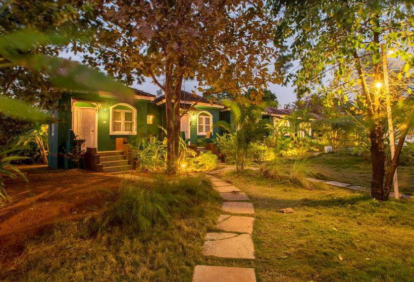 Aquatica Resorts & Spa 15