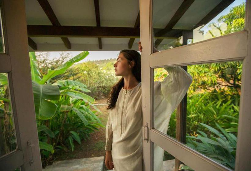 Aquatica Resorts & Spa 17