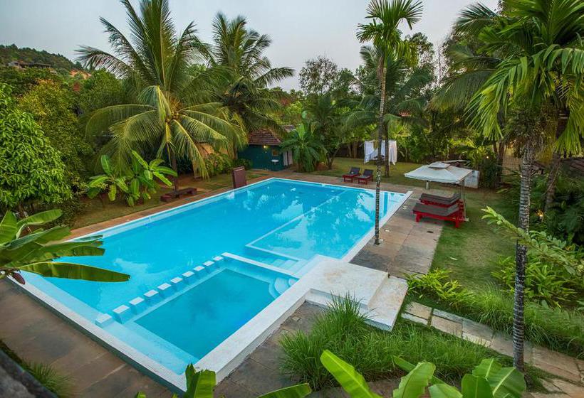 Aquatica Resorts & Spa 2