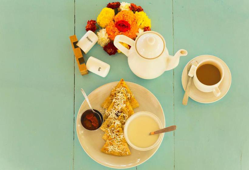 Aquatica Resorts & Spa 5