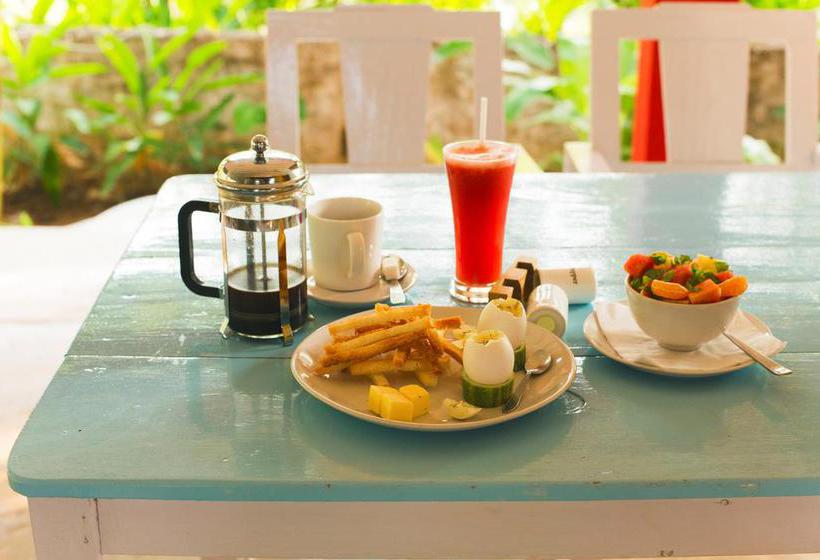 Aquatica Resorts & Spa 6