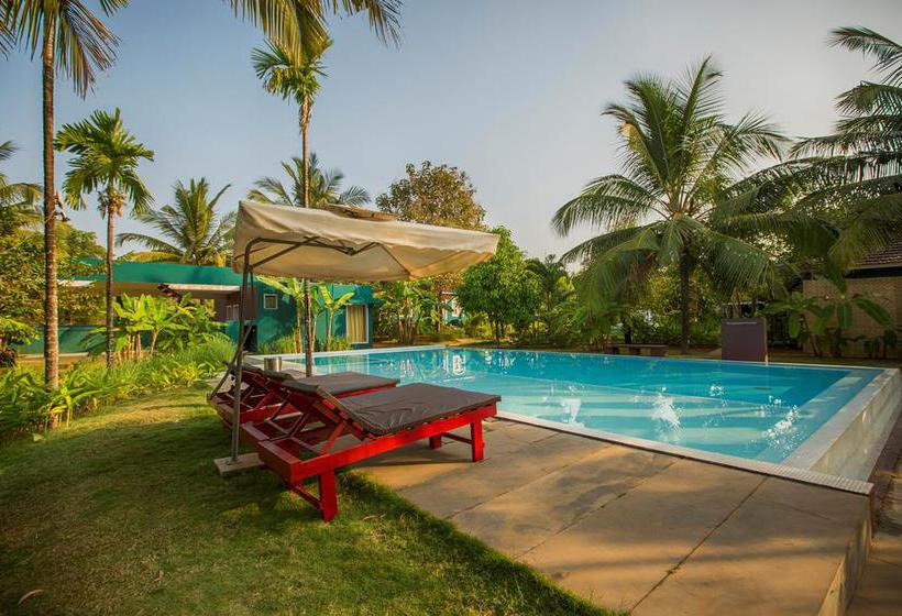 Aquatica Resorts & Spa 8