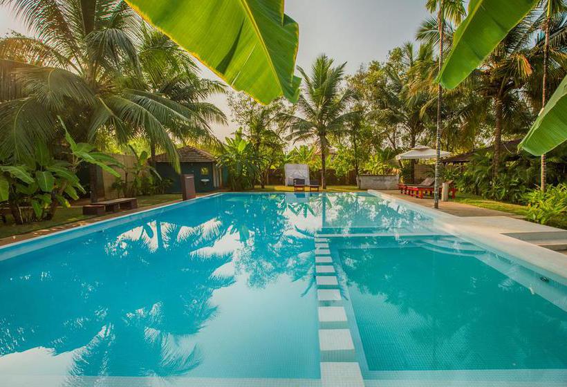 Aquatica Resorts & Spa 9