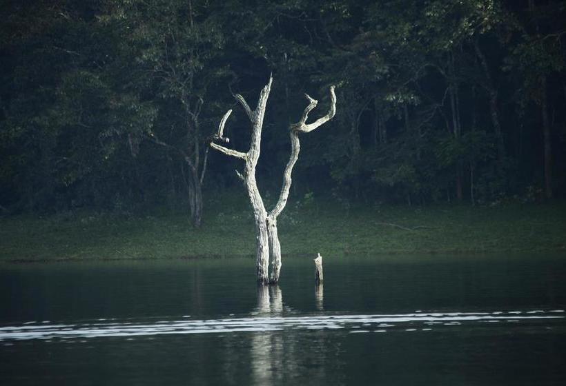 Bed and Breakfast Bamboo Periyar 1