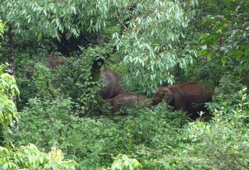 Bed and Breakfast Bamboo Periyar 12