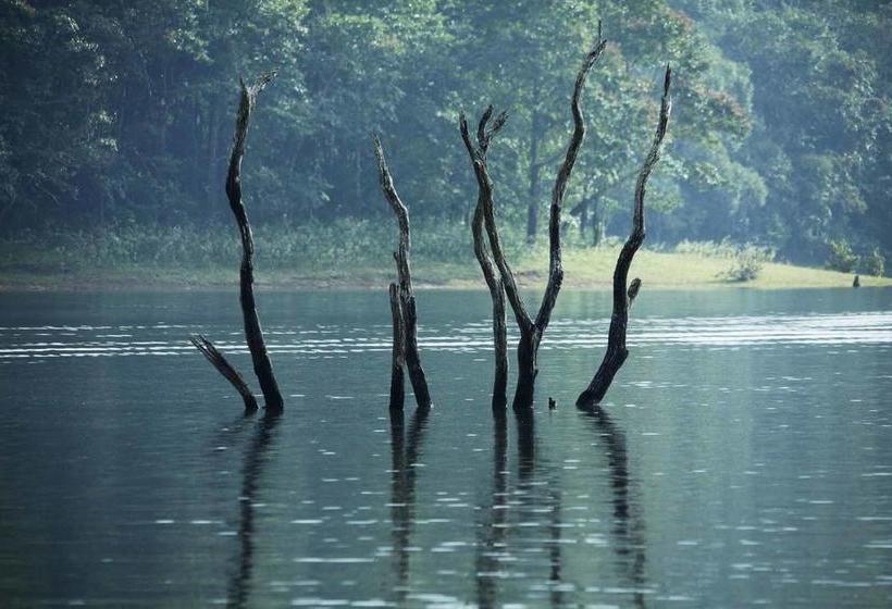 Bed and Breakfast Bamboo Periyar 3