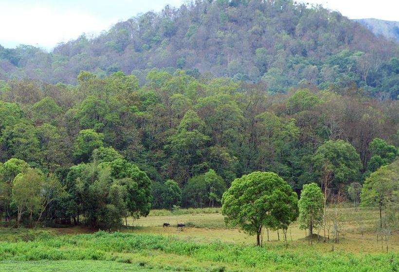Bed and Breakfast Bamboo Periyar 9