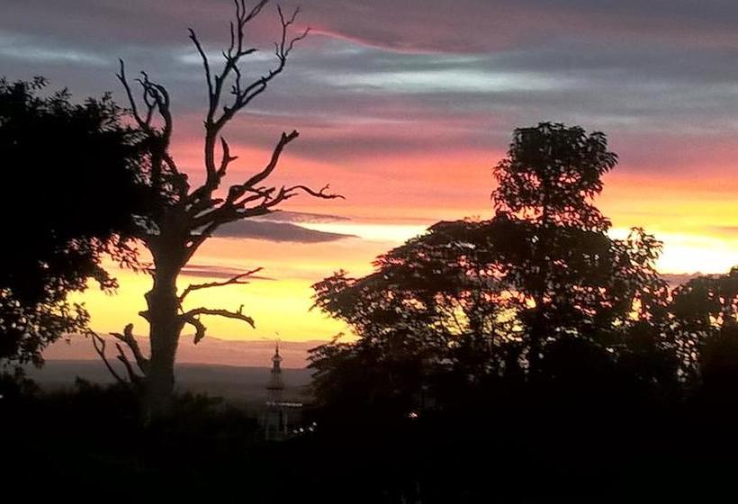 Bed and Breakfast Gales View 17