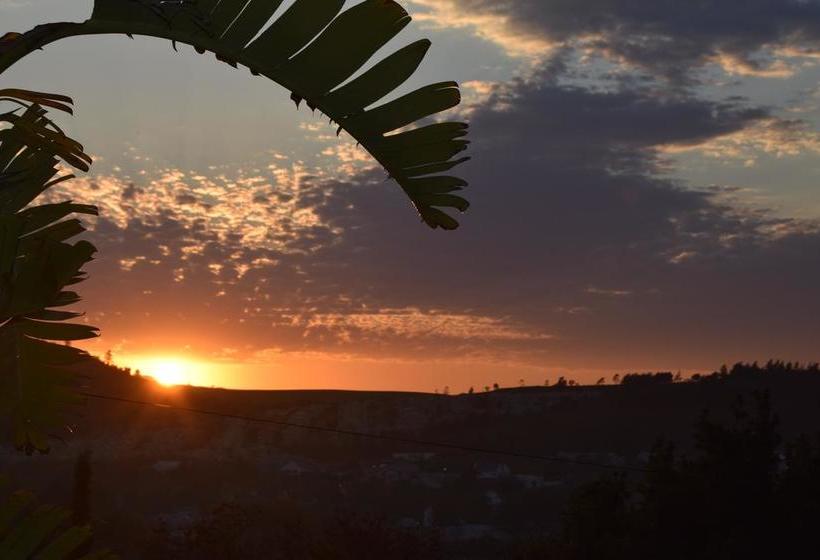 Bed and Breakfast Gales View 18