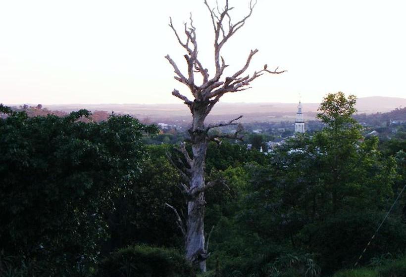 Bed and Breakfast Gales View 5