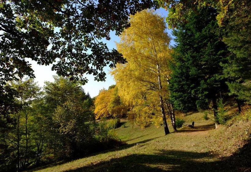 Hotel Lettisches Haus 13