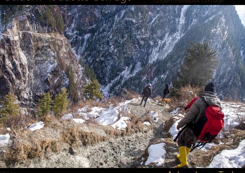 Bed and Breakfast Golden Meadows Cottage 4