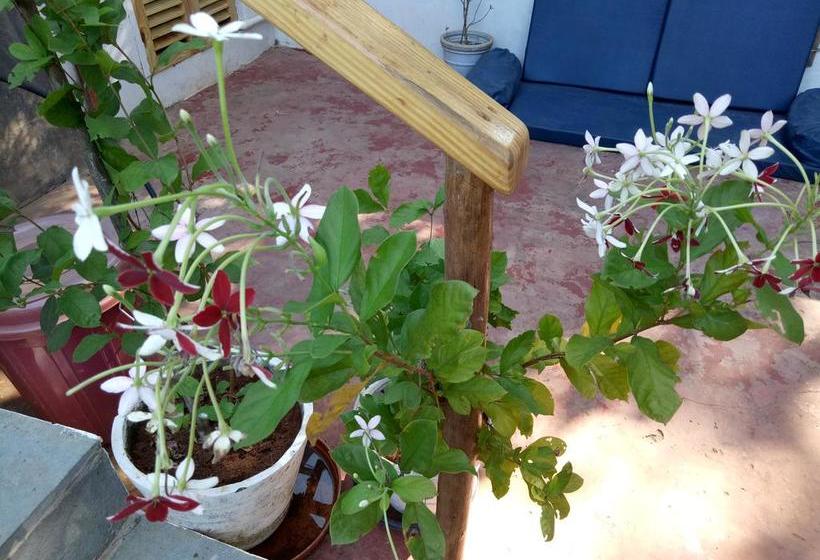 Resort Blue Planet 14