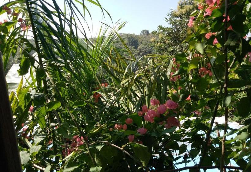 Resort Blue Planet 8