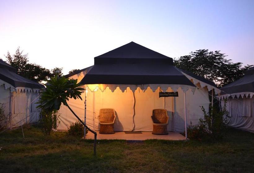 Resort Sher Vilas 16