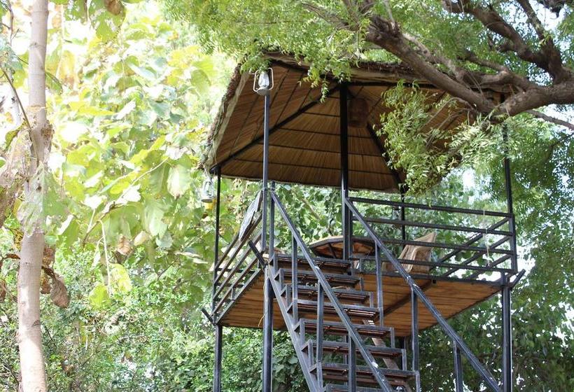 Resort Sher Vilas 20