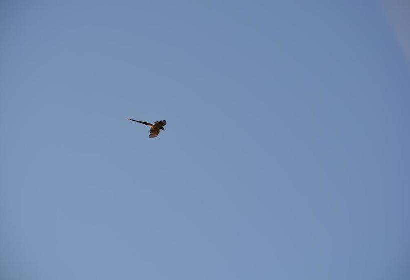 Hotel S.b.mount Resort 11