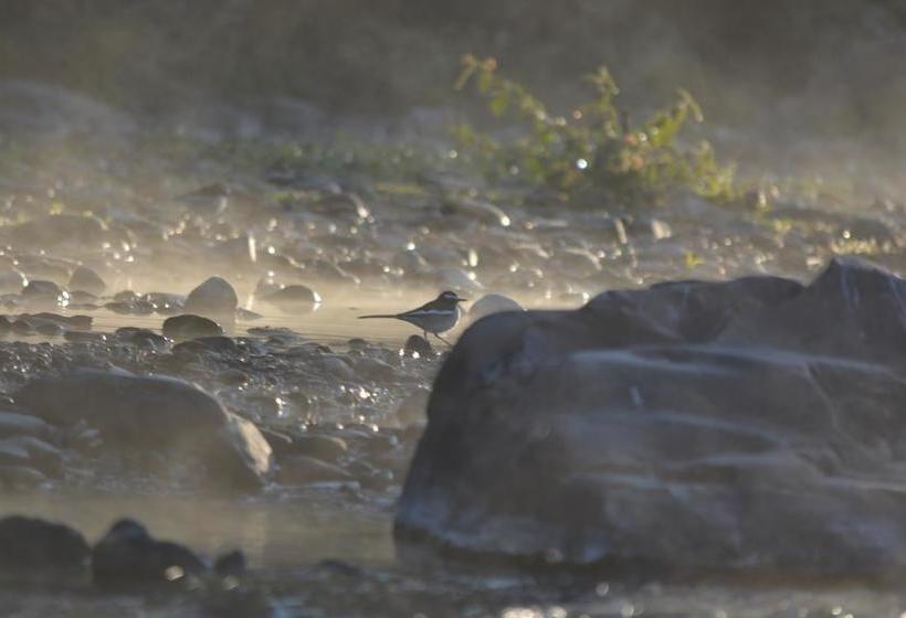 Hotel S.b.mount Resort 12