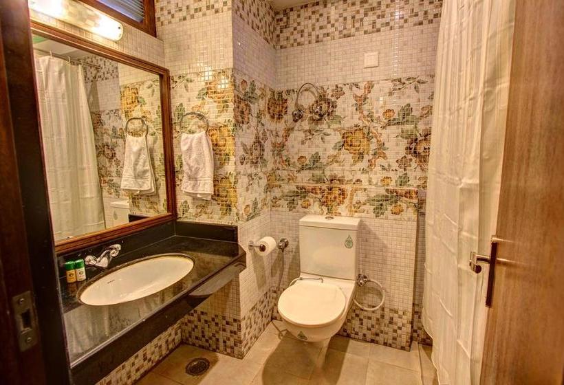 Hotel The Himachal Inn 10