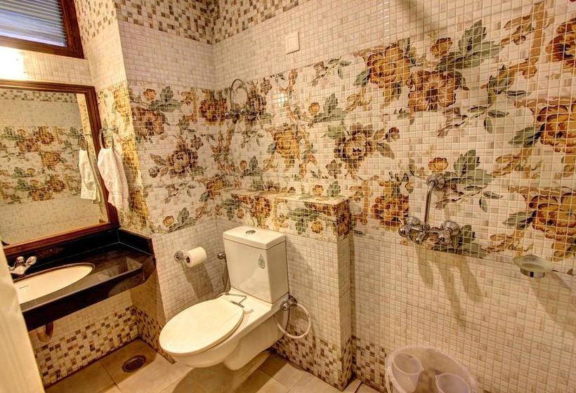 Hotel The Himachal Inn 6