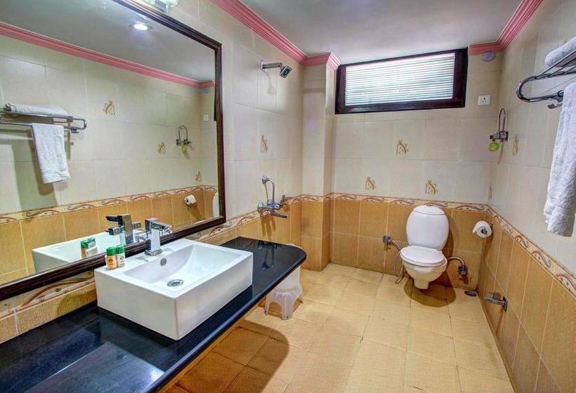 Hotel The Himachal Inn 9