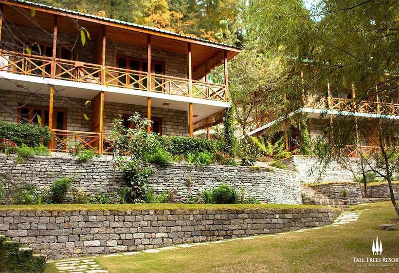 Tall Trees Resort Manali