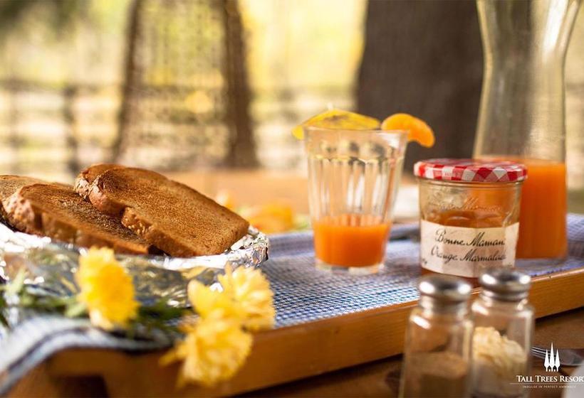 Tall Trees Resort 10