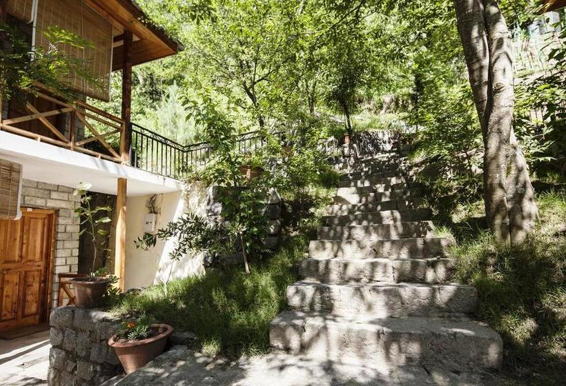 Tall Trees Resort 12