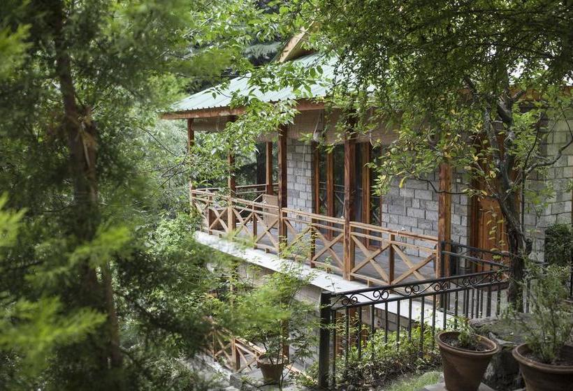 Tall Trees Resort 14