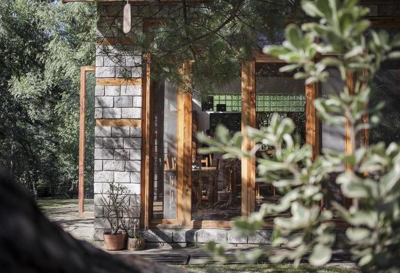 Tall Trees Resort 15