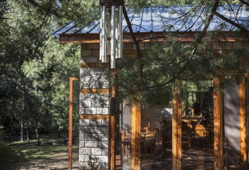 Tall Trees Resort 17