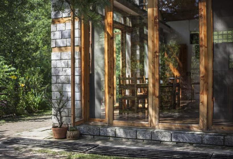 Tall Trees Resort 20