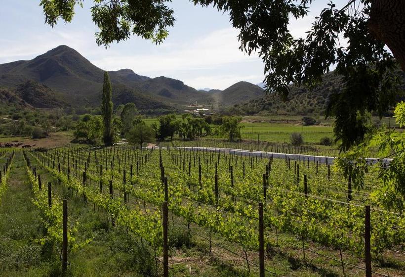 Bed and Breakfast De Kombuys 11