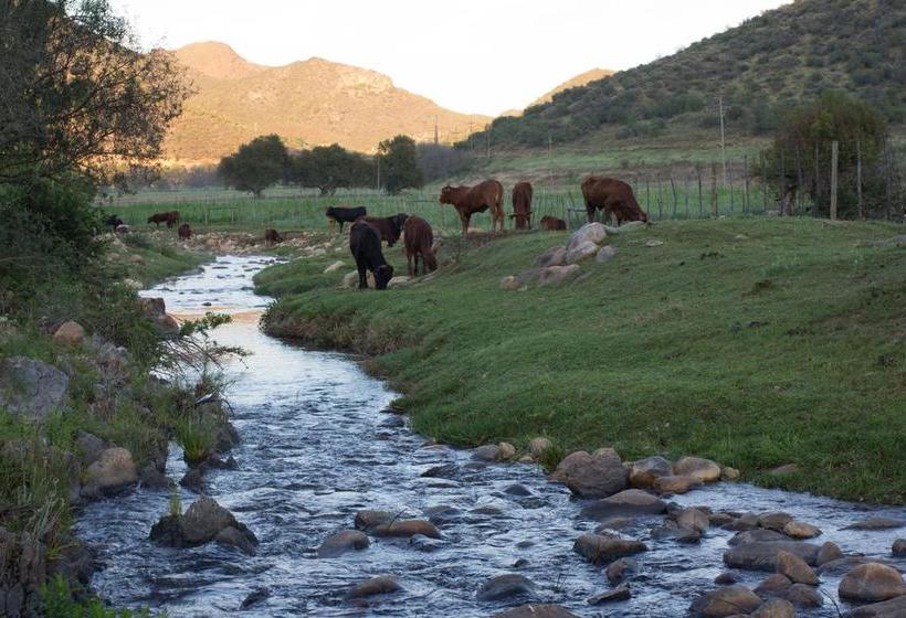 Bed and Breakfast De Kombuys 13