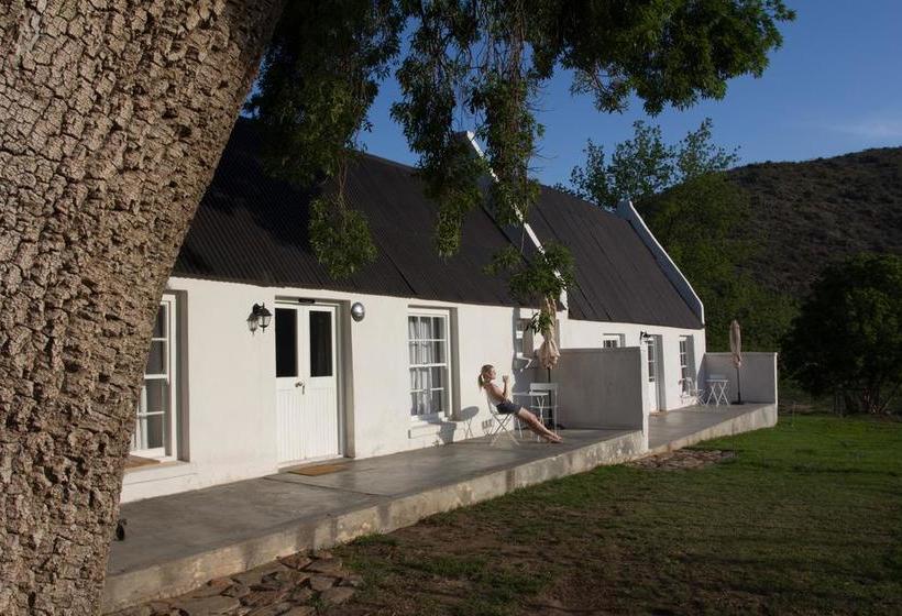 Bed and Breakfast De Kombuys 14