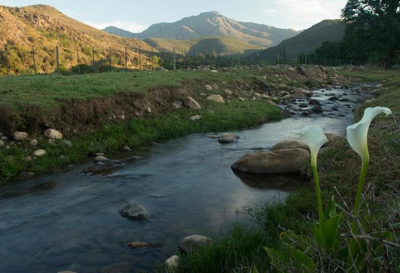 Bed and Breakfast De Kombuys 17