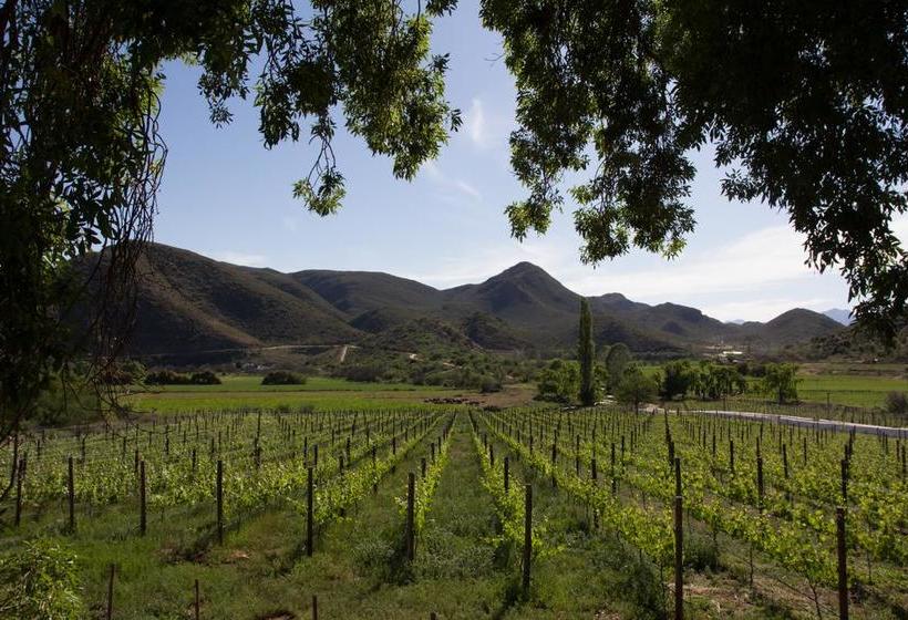 Bed and Breakfast De Kombuys 18