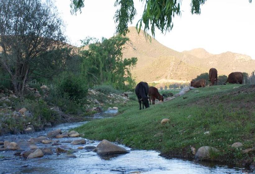 Bed and Breakfast De Kombuys 19