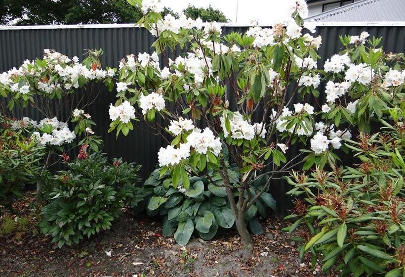 Bed and Breakfast Alumni House Canterbury 15