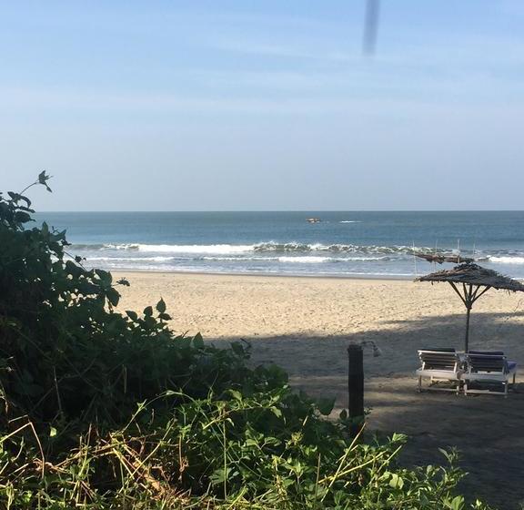 Palm Grove Beach Resort 11