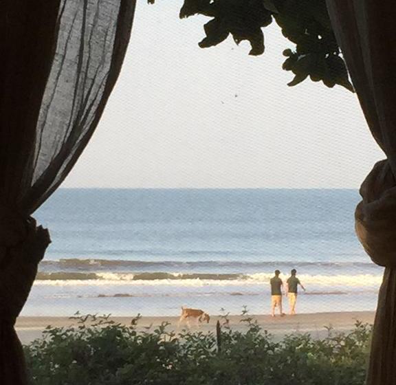 Palm Grove Beach Resort 12