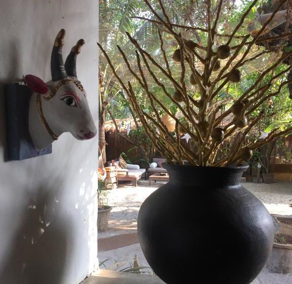 Palm Grove Beach Resort 14