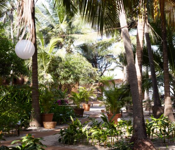 Palm Grove Beach Resort 17