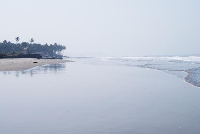 Palm Grove Beach Resort 4